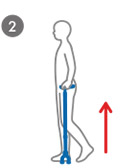 杖を垂直についているときは、荷重を支持する方向に働きます。
