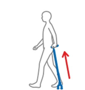 杖を後方についているときは、歩くスピードを推進する方向に働きます。