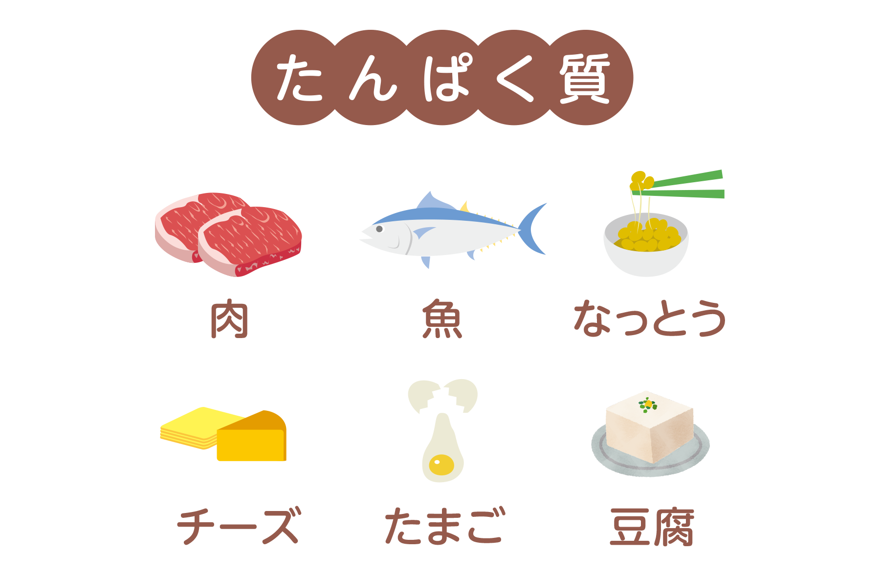 「たんぱく質」を意識して食べる