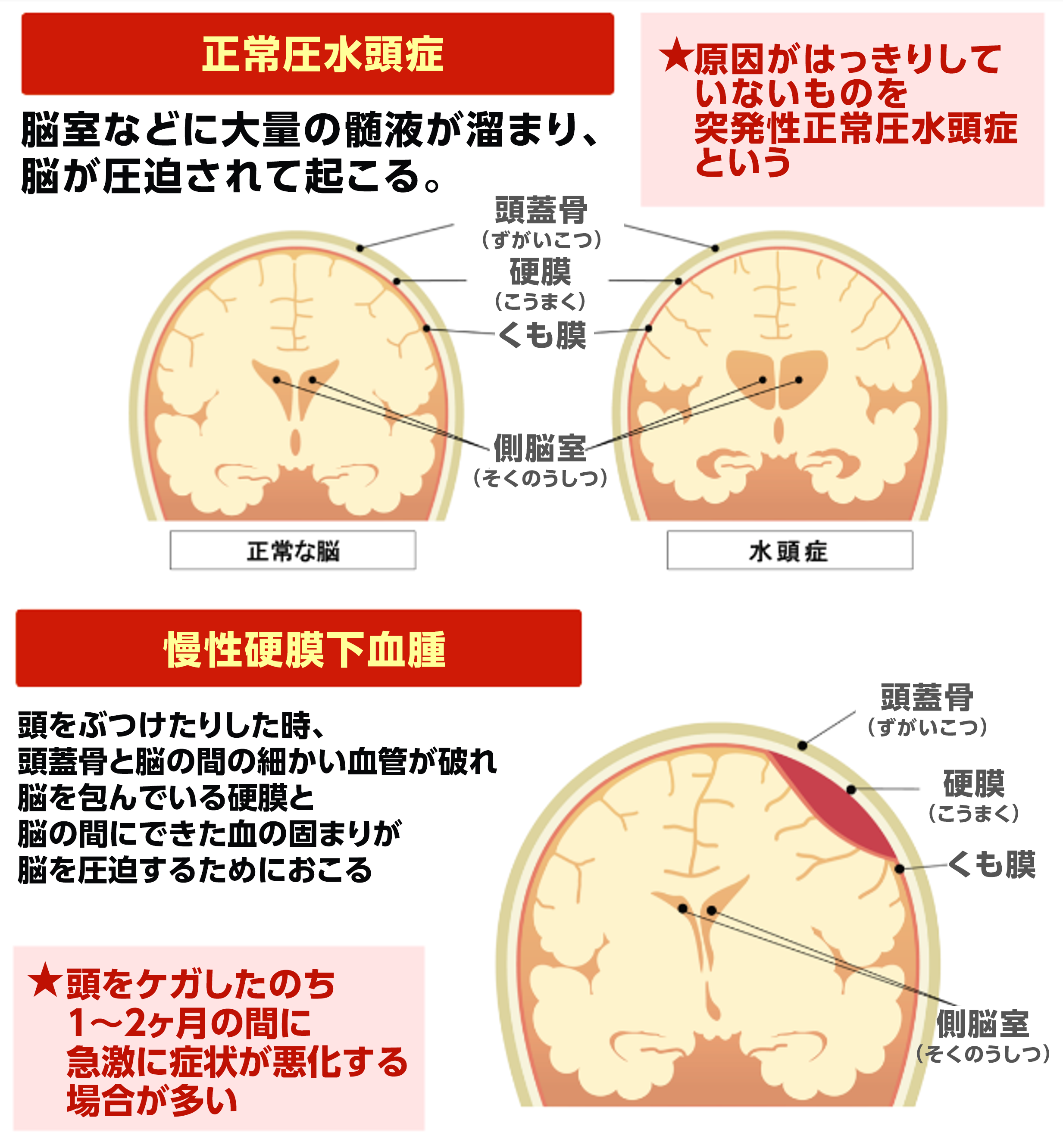 症状と経過