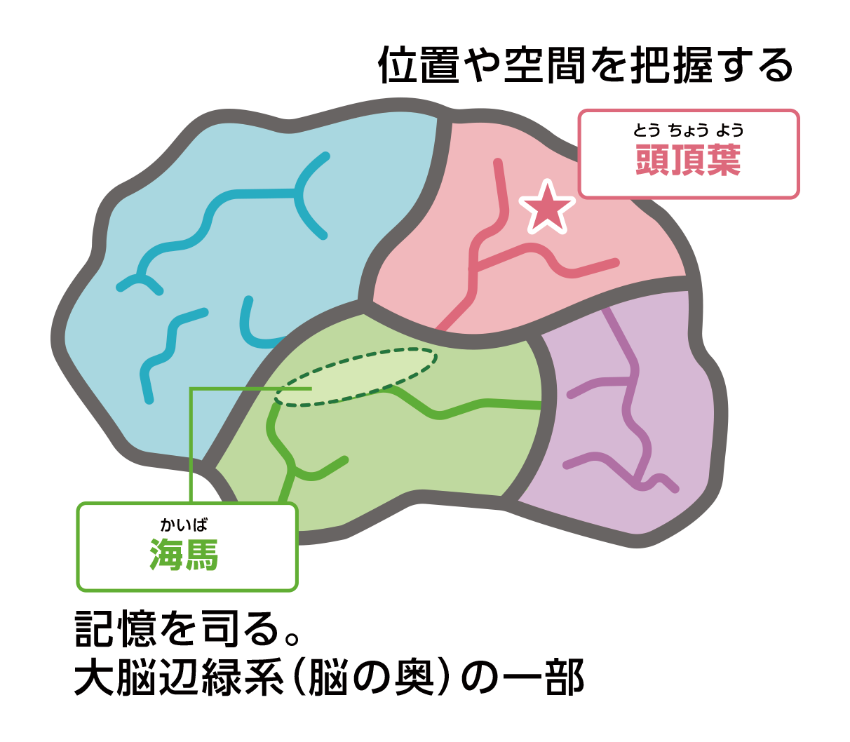 概念と特徴