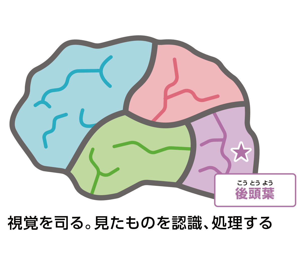 概念と特徴