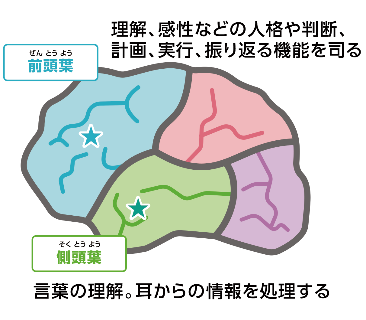 概念と特徴