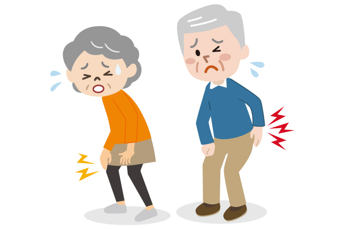 ケアマネジャーさんの知恵袋 ～疾患別ケアマネジメント事例～【Vol.9】「骨粗しょう症・関節炎を正しく理解するために」～筋骨格系疾患（きんこっかくけいしっかん）に対応するケアマネジメントの実践～