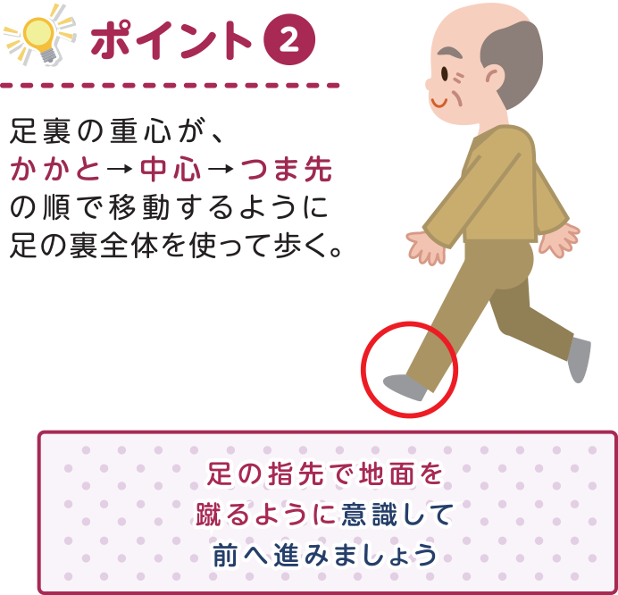 ポイント2．足裏の重心が、かかと→中心→つま先の順で移動するように足の裏全体を使って歩く。足の指先で地面を蹴るように意識して前へ進みましょう