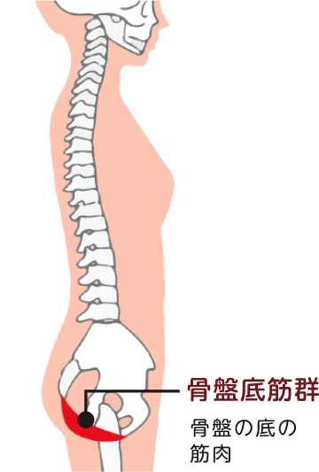 トレーニングする部位を意識しましょう！_01