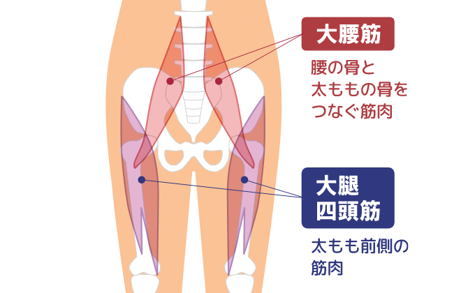 ひざをサポート！昇降運動による良い効果