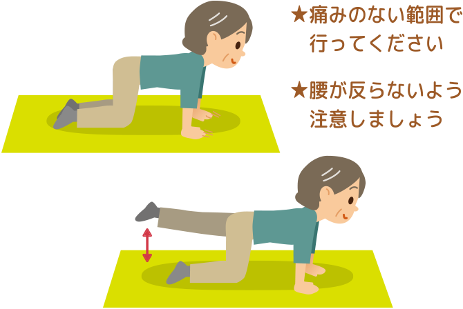 痛みのない範囲で行ってください腰が反らないよう注意しましょう