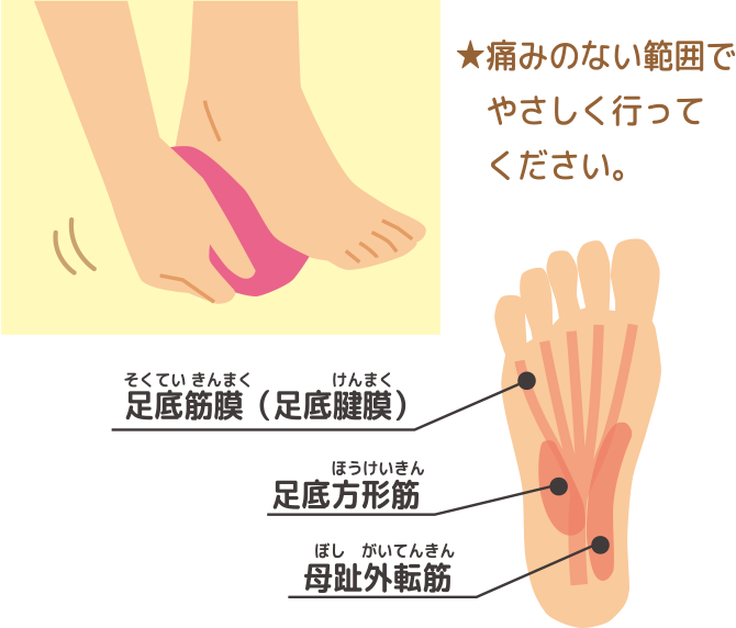 痛みのない範囲でやさしく行ってください。