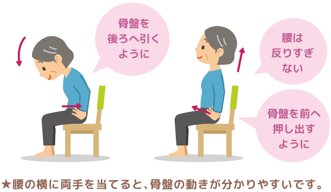 腰の横に両手を当てると､骨盤の動きが分かりやすいです。