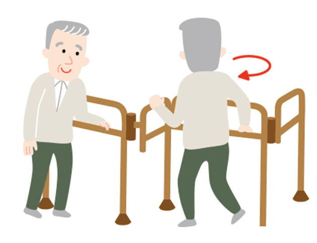 その場で方向転換したり、姿勢を保つ支えになります。