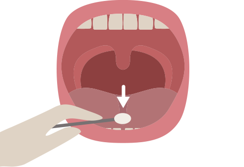 舌の上での歯ブラシの動かし方のイラスト