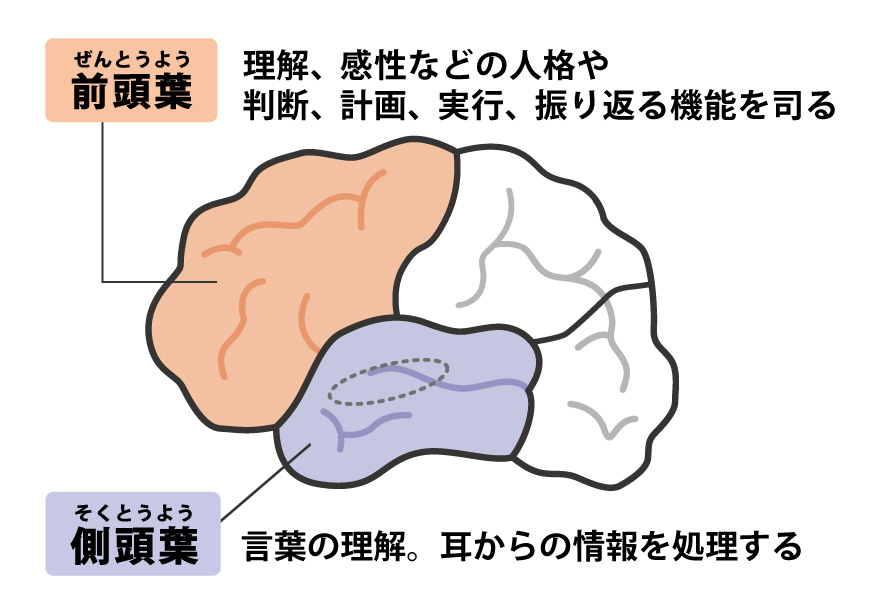 前頭側頭葉の症状は何ですか