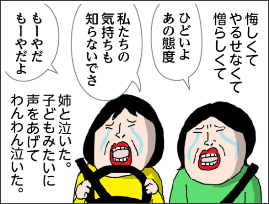 悔しくてやるせなくて憎らしくて　カータン姉「ひどいよあの態度」カータン「私たちの気持ちも知らないでさ　もーやだ　もーやだよ」姉と泣いた。こどもみたいに声をあげてわんわん泣いた。