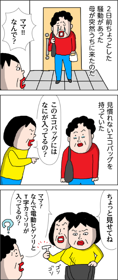 2日前ちょっとした騒動があった母が突然うちに来たのだ。カータン「ママなんで？」。見慣れないエコバッグを持っていた。カータン「このエコバッグにはなにが入っているの？」。カータン「ちょっと見せてね」「ママ？なんで電動ヒゲソリとT字カミソリが入ってるの？」