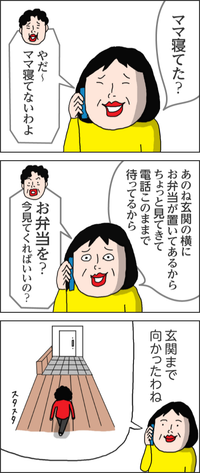ママ寝てた？やだ～ママ寝てないわよあのね玄関の横にお弁当が置いてあるからちょっと見てきて電話このままで待ってるからお弁当を？今見てくればいいの？玄関まで向かったわねスタスタ