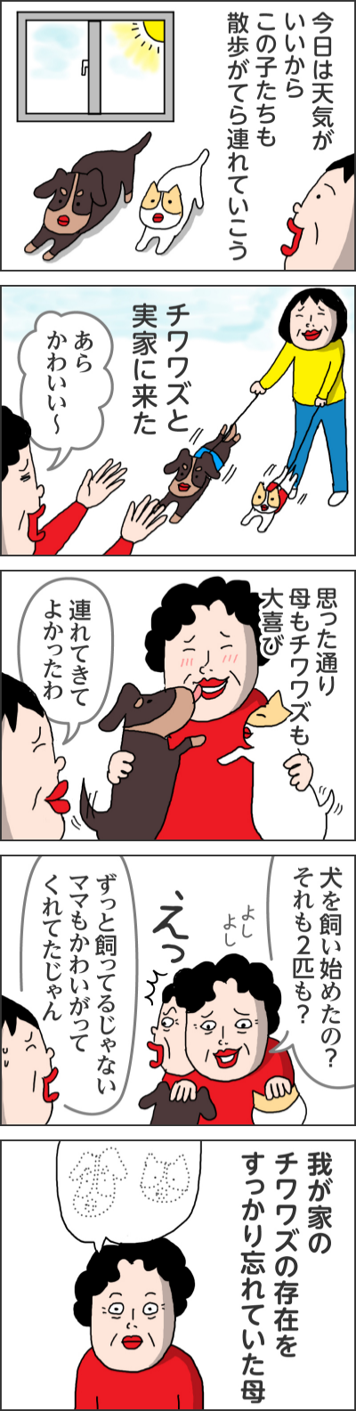 今日は天気がいいからこの子たちも散歩がてら連れていこうチワワズと実家に来たあらかわいい～思った通り母もチワワズも大喜び連れてきてよかったわ犬を飼い始めたの？それも2匹も？よしよしずっと飼ってるじゃない　ママもかわいがってくれてたじゃんえっ我が家のチワワズの存在をすっかり忘れていた母