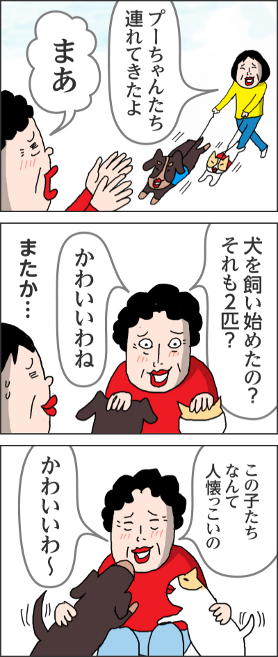 また会いに来てね　さびしーおばあちゃんちまで散歩に行くよプーちゃんたち連れてきたよまあ犬を飼い始めたの？それも2匹？　かわいいわねまたか…この子たちなんて人懐っこいの　かわいいわ～