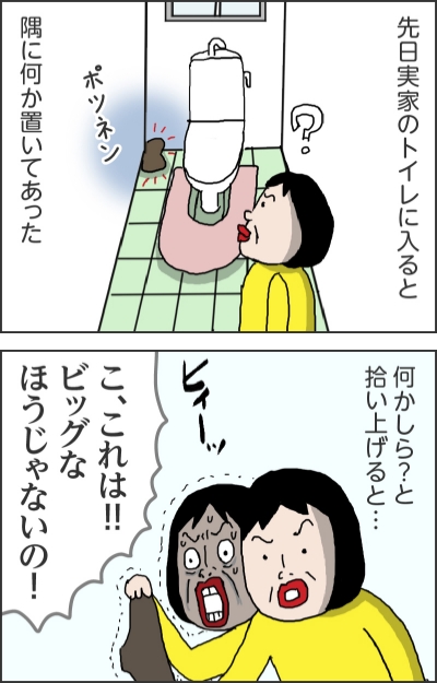 先日実家のトイレに入ると（ポツネン）隅に何か置いてあった何かしら？と拾い上げると…（ヒィーッ）こ、これは！！ビッグなほうじゃないの！