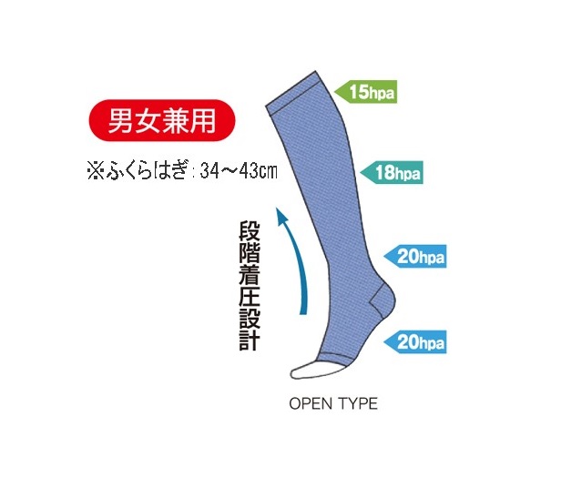 着圧機能サポーター（2枚入り）段階着圧設計