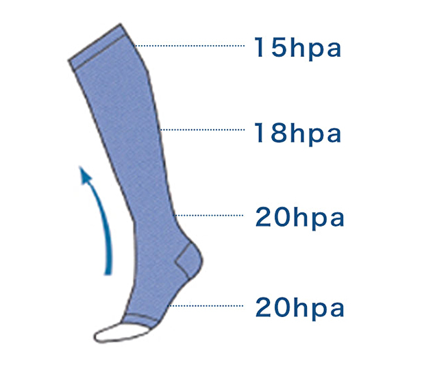 着圧（ちゃくあつ）機能サポーター（2枚入り）：ひざ下：15hpa、ふくらはぎ：18hpa、足首：20hpa、足裏：20hpa
