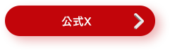 公式X